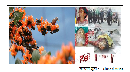 blad shed february - Copy